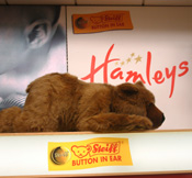 Steiff Bear Hamleys photo