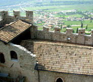 Castle Wine Touring Italy photo