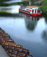 Wear River Cruise and Rowing photo