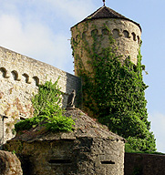 Castle Guttenberg Tower and Falcon Roots