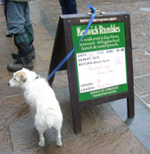 Keswick Rambles Dog Walk photo