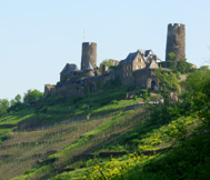 Burg Thurant from Moselle River vineyards photo