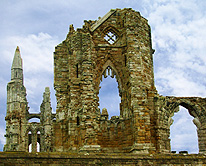 Whitby Abbey Ruins Gothic Window photo
