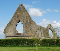 Roscommon Abbey photo