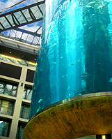 Aqua Dome Giant Fish Aquarium Radisson Blue Hotel photo