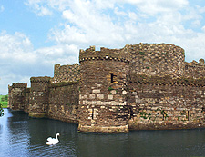Beaumaris Castle Moat with Swan photo