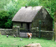 Olf Irish Farm House Bunratty photo