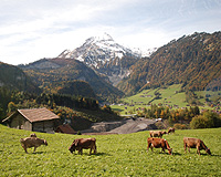 Golden Pass Line Alps Farm Views photo