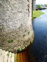 Norman Castle Walls Shannon River Steps photo