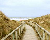North Wales Coastal Dunes Beach photo