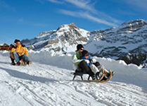 Family Sledding Glacier 3000 photo