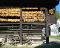 19th Century Croatia barn photo