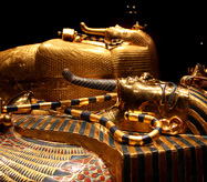 King Tutankahmun Exhibition photo