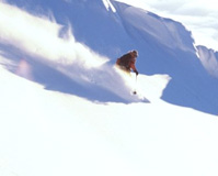 Alpine Skiing Tirol photo