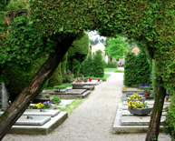 Horticultural Garden Cemetery photo