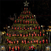 Singing Christmas Tree Zurich photo