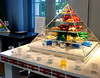 Food Pyramid at the Alimentary Museum photo
