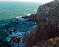 Sea Cliffs Ardmore Coast Path photo