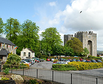 Bunratty Creamery and castle photo