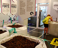 Cocoa Beans on Factory Tour Nestle Cailler photo