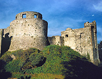 Dinefwr Castle phoito
