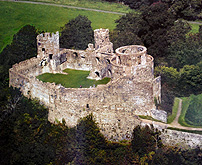 Dynevor Castle Aerial photo