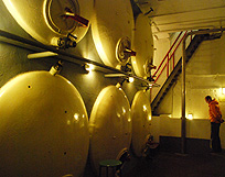 Tanks at Halve Maan Brewer photo