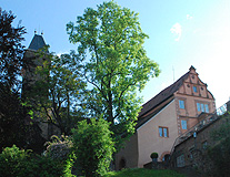 Hirschhorn Schloss Hotel photo