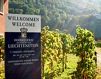 Entrance to Vineyards of Hofkellerei Liechtenstein photo