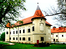 Castle Luznica photo