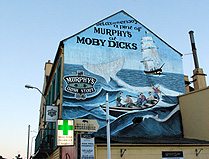 Moby Dick's Pub Street View Murphys Stout Sign