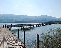 Wooden Bridge on Lake Zurich photo