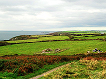 Pembrokeshire Coastal Path from St Noon's Chapel view photo