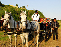 Carriage Rides Stara Kapela photo