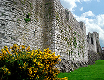 Walls of Trim Castle photo