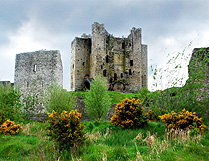 View of Trim Castle from the Boyne photo