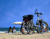 Bikes on the Beach Netherlands photo