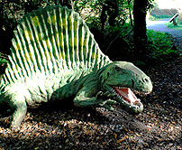Tenby Dinosaur Park Dimetrodon photo