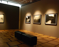 Musee Elysee Exhibit Space photo