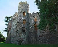 Laugharne Castle Tudor Windows photo