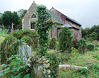 Llangyfelach parish Church Gravestone overgrown photo