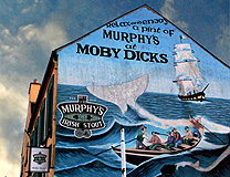 Moby Dick Pub Location Youghal photo