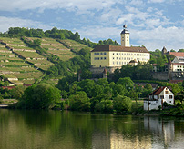 Neckartal Teutonic Castle photo