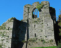 Gothic Window Oystermouth Castle photo