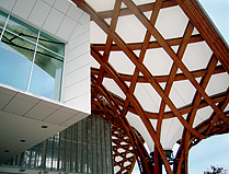 Pomidou Centre Metz Wood Lattiuce structure photo