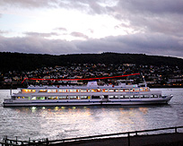 Cruise Boat at Rudesheim photo