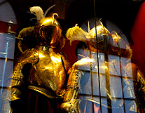 Gold Armour Zwinger photo