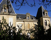 St Michel du Lanes Chateau photo