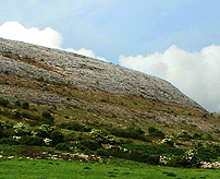 Burren Mountain Formation coast photo