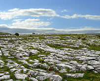 The Burren Rocky Landscape photo